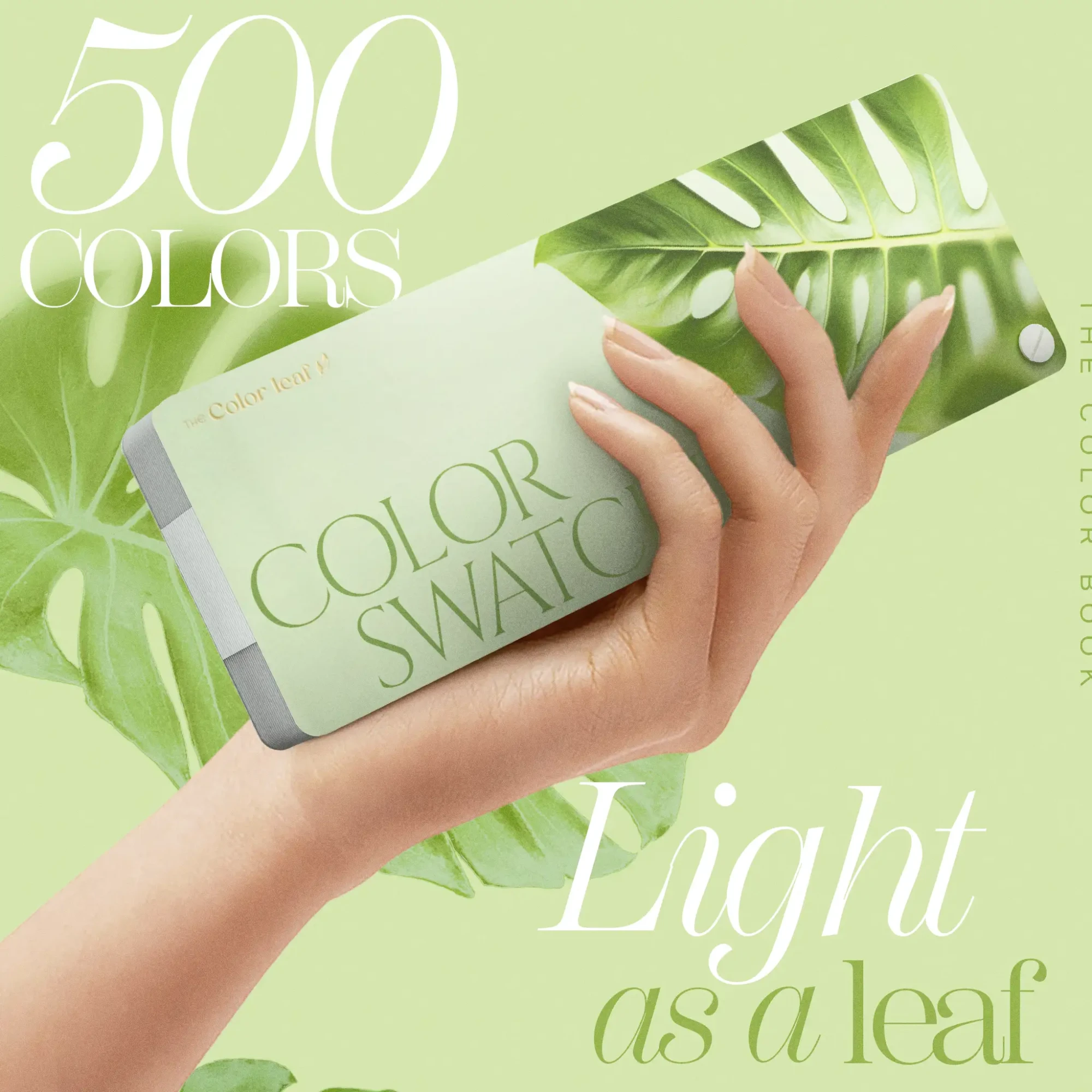 The Color Leaf