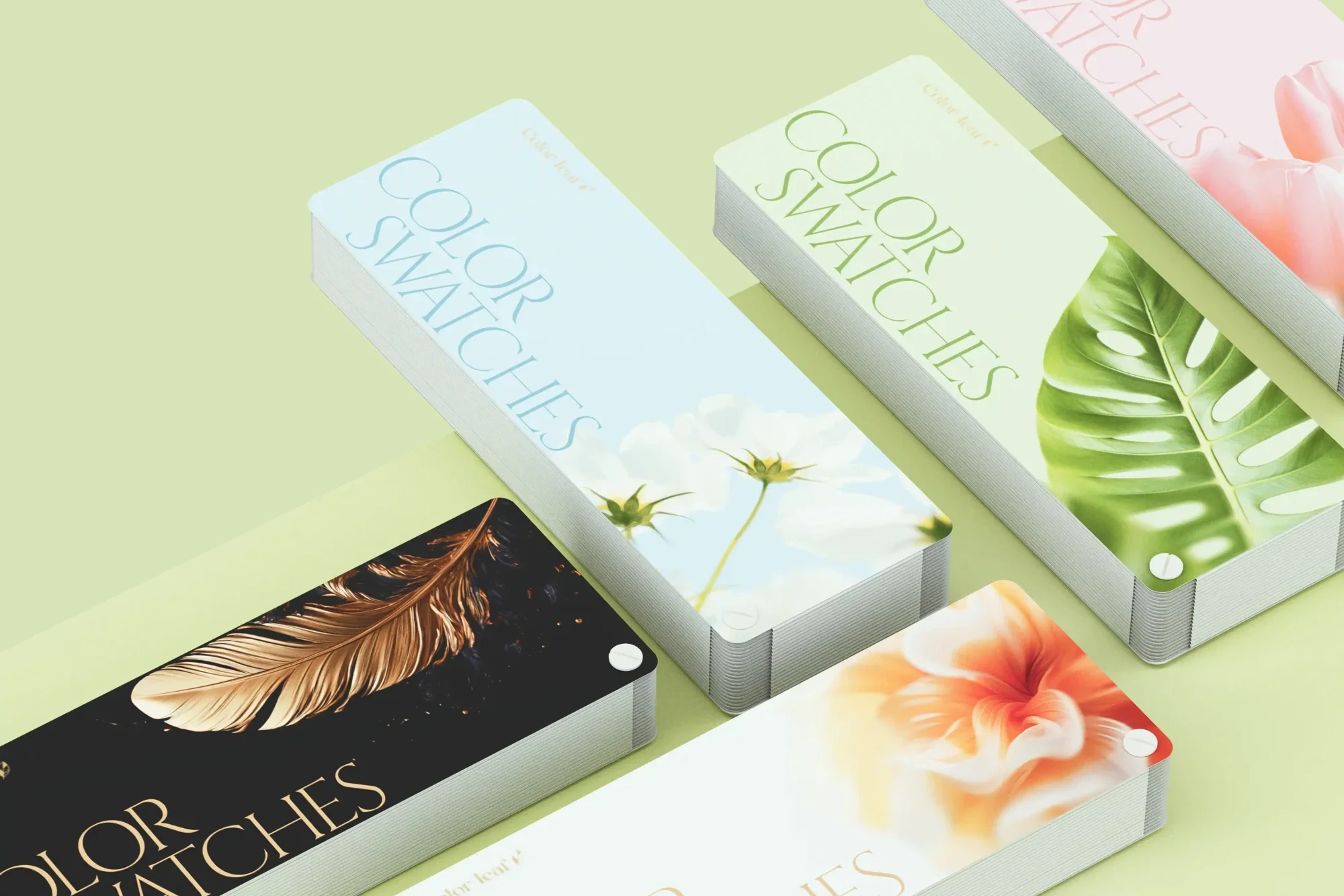 The Color Book