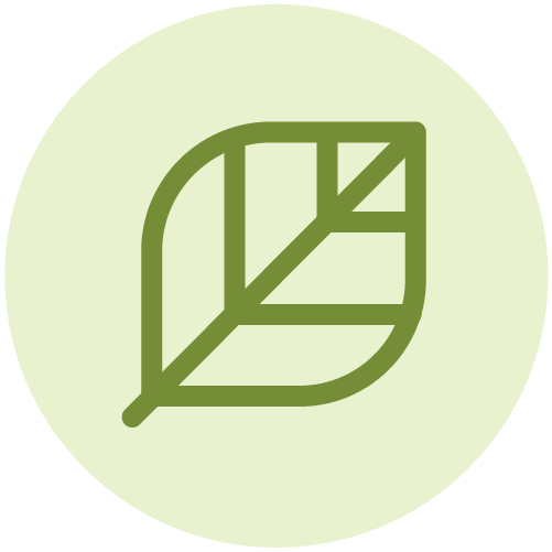 The Color Leaf