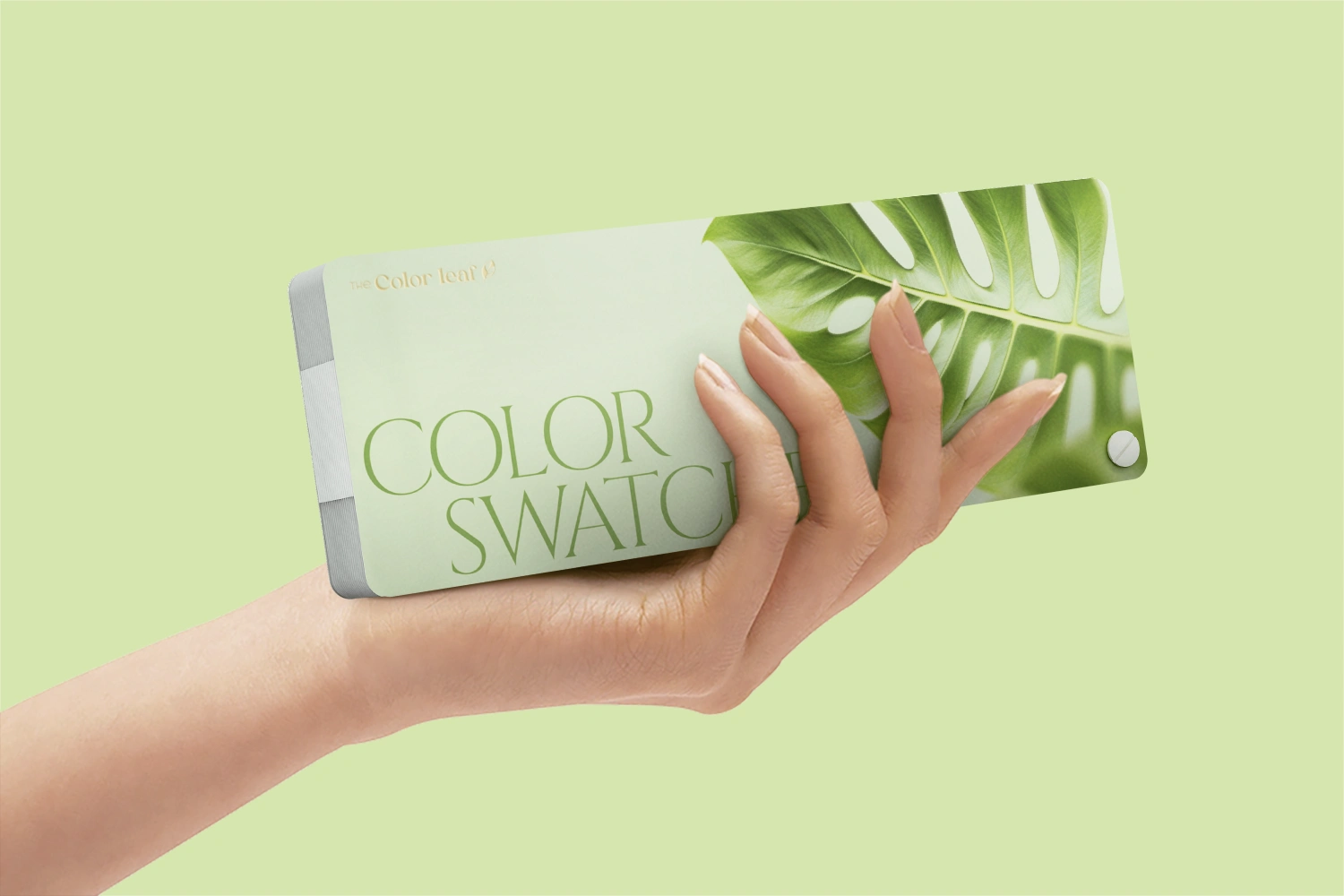 Color book