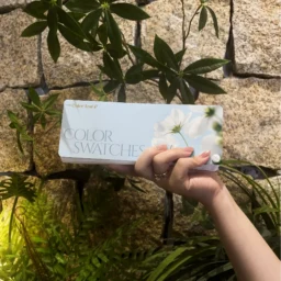 the color leaf review