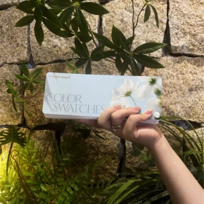 the color leaf book review