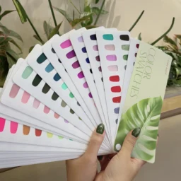 the color leaf review