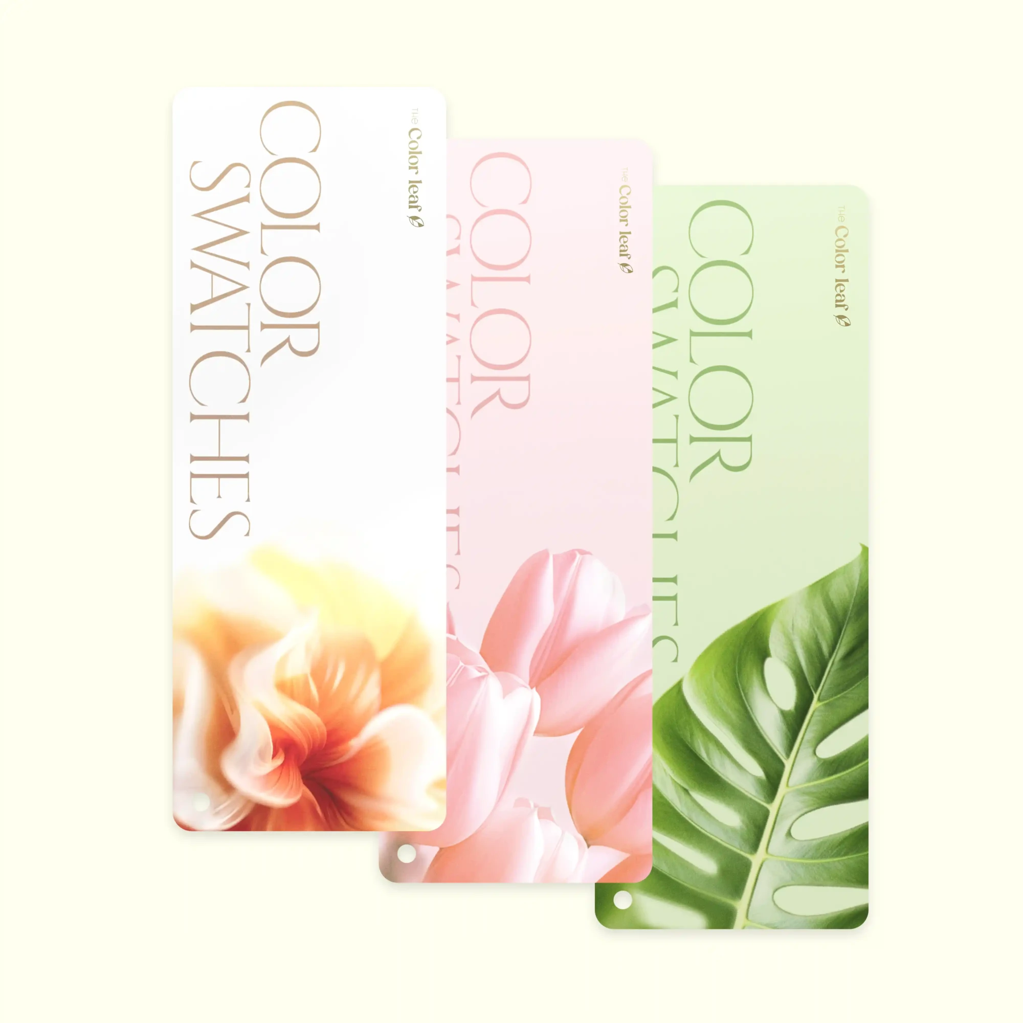 The Color Leaf