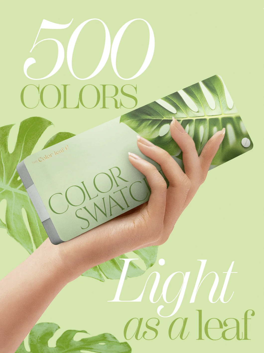 The Color Leaf